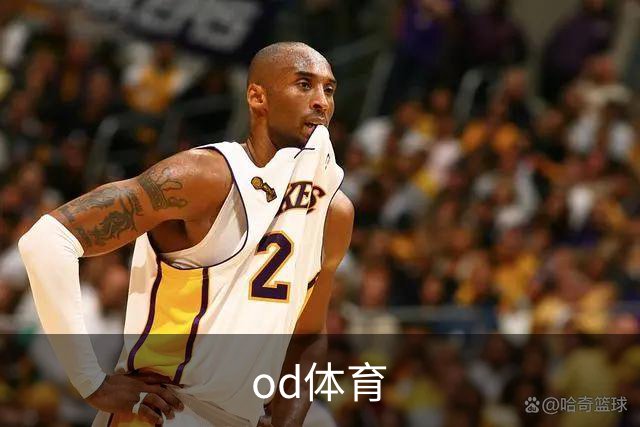 od体育公司简介